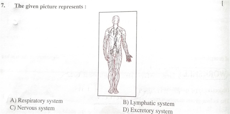 Please give the correct answer to this question​-example-1