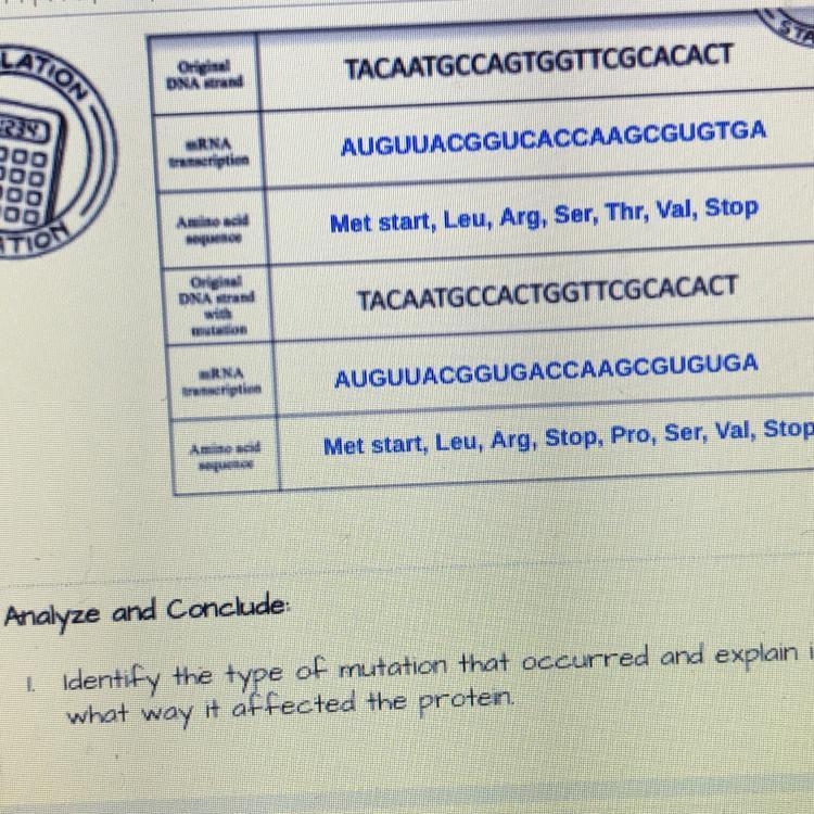 Identify the type of mutation that occurred and explain in what way it affected the-example-1