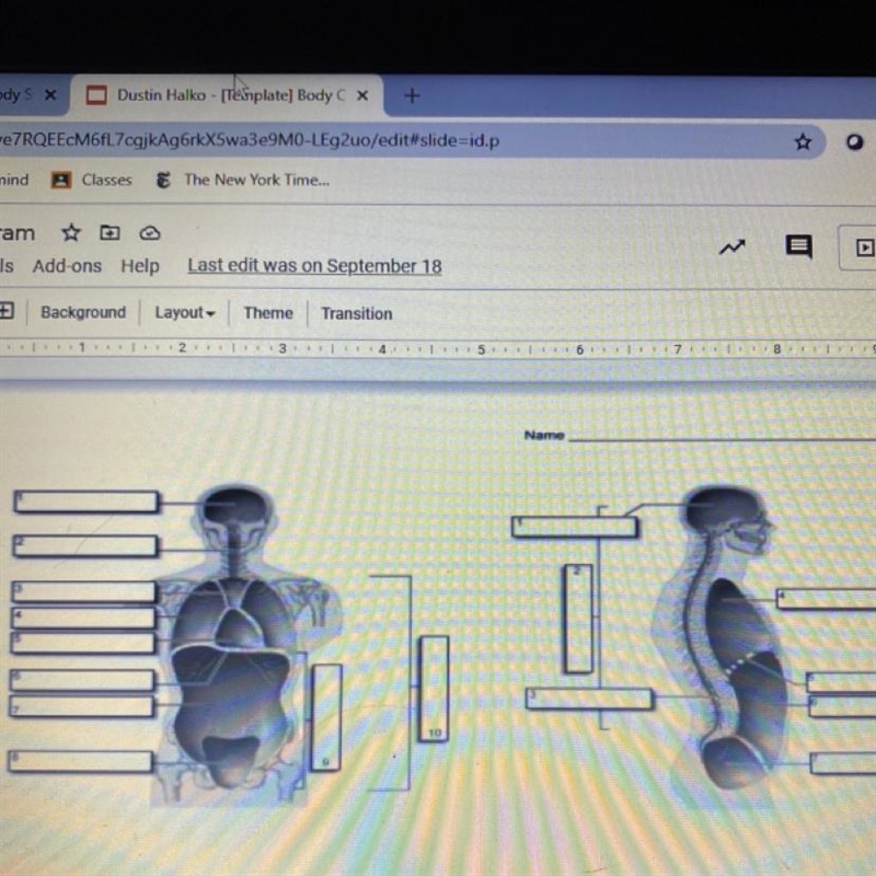 Body cavities diagram I need help-example-1