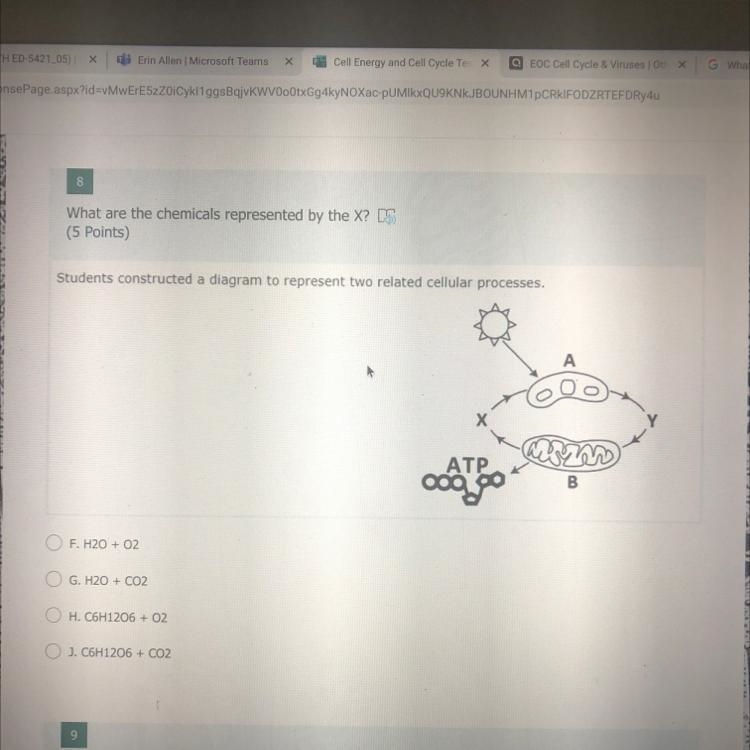 What are the chemicals represented by the X?-example-1