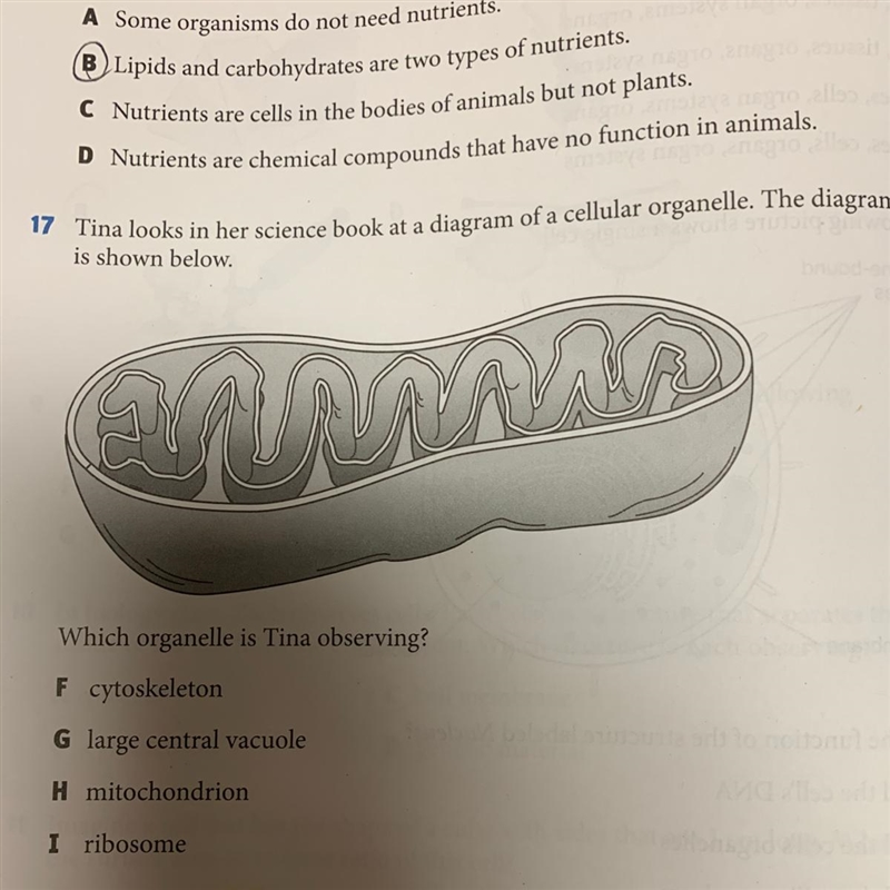 Number 17 PLEASE HELP 20 points if u right dont just take the points please or i will-example-1