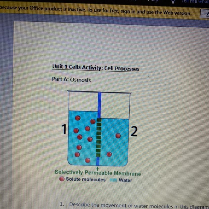 Describe the movement of water molecules in this diagram and identify the state of-example-1