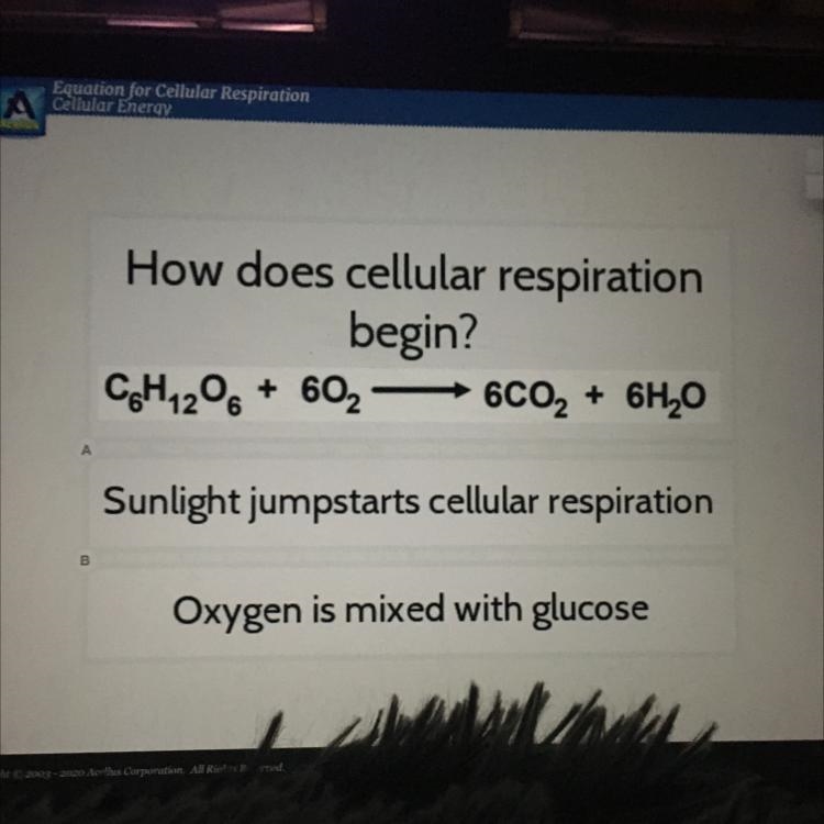 Please help! 10 points￼-example-1