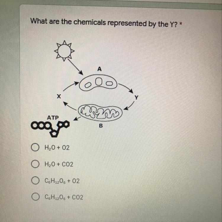 NEED HELP ASAP ‼️‼️‼️‼️‼️‼️‼️ What are the chemicals represented by the Y?-example-1