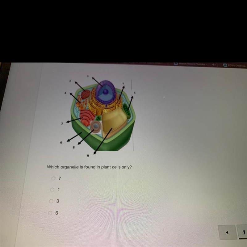 Which organelle is found in plant cells only? A.7 B.1 C.3 D.6-example-1