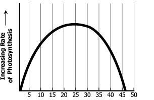 The graph shows the relationship of photosynthesis with temperature. At what temperature-example-1