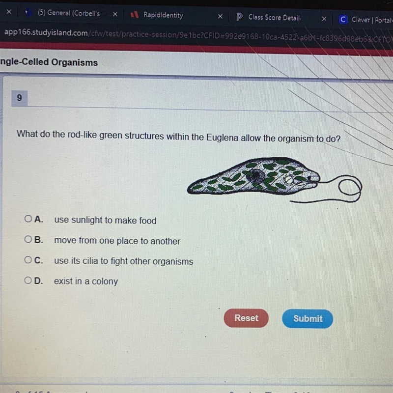 What do the rod-like green structures within the Euglena allow the organism to do-example-1