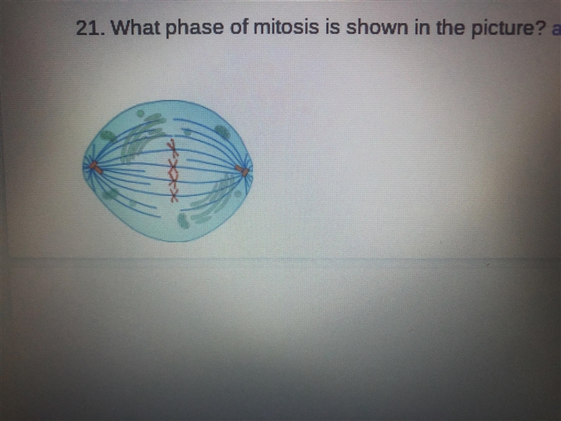 What is the answer to this please this is timed so please hurry up-example-1