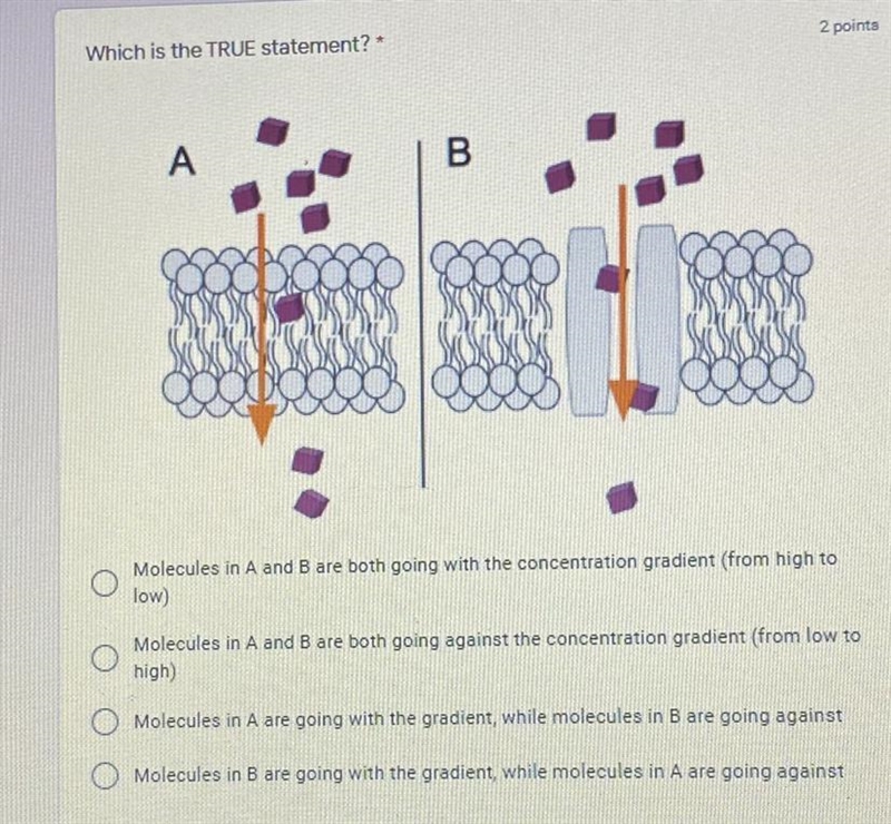 Can someone help me?-example-1