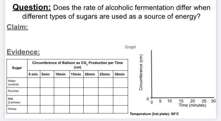 does the rate of alcoholic fermentation differ when different types of sugar are used-example-1