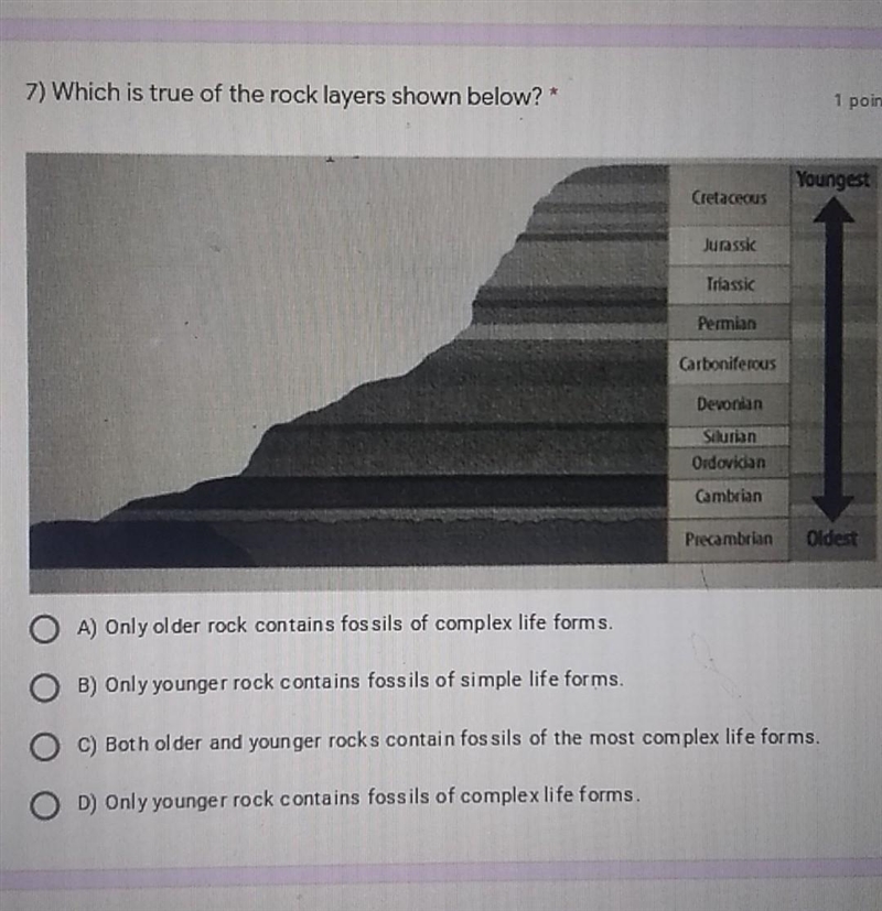 Which I true of the rock layers shown below​-example-1