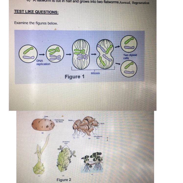 The process modeled in Figure 1 is closely related to the process modeled in Figure-example-1