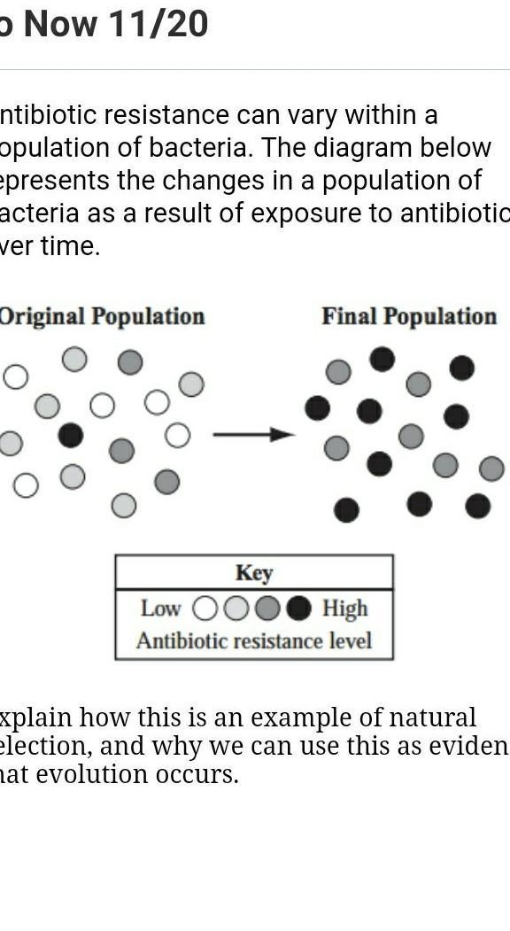 Antibiotic resistance can vary within a population of bacteria. The diagram below-example-1