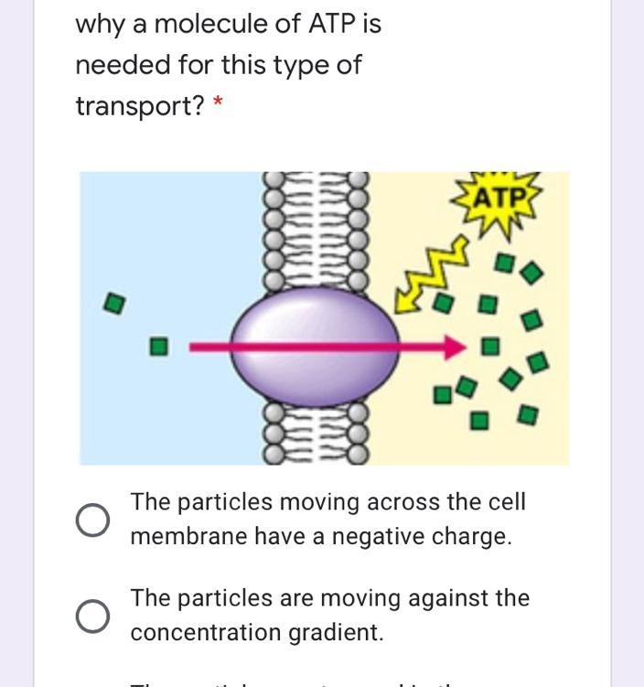 Which of these best explains why a molecule of ATP is needed for this type of transport-example-1