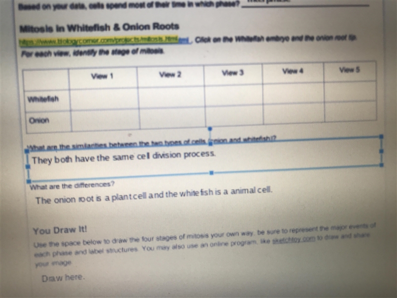 Please help me with data table!!-example-1