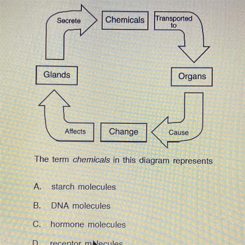 The term chemicals in this diagram represents A. Starch molecules B. DNA molecules-example-1