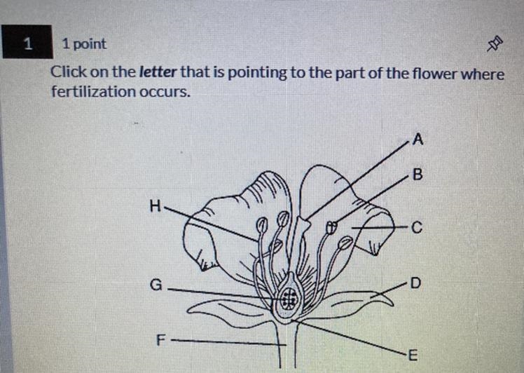 Guys please help!! What part of the flower where fertilization occurs?-example-1