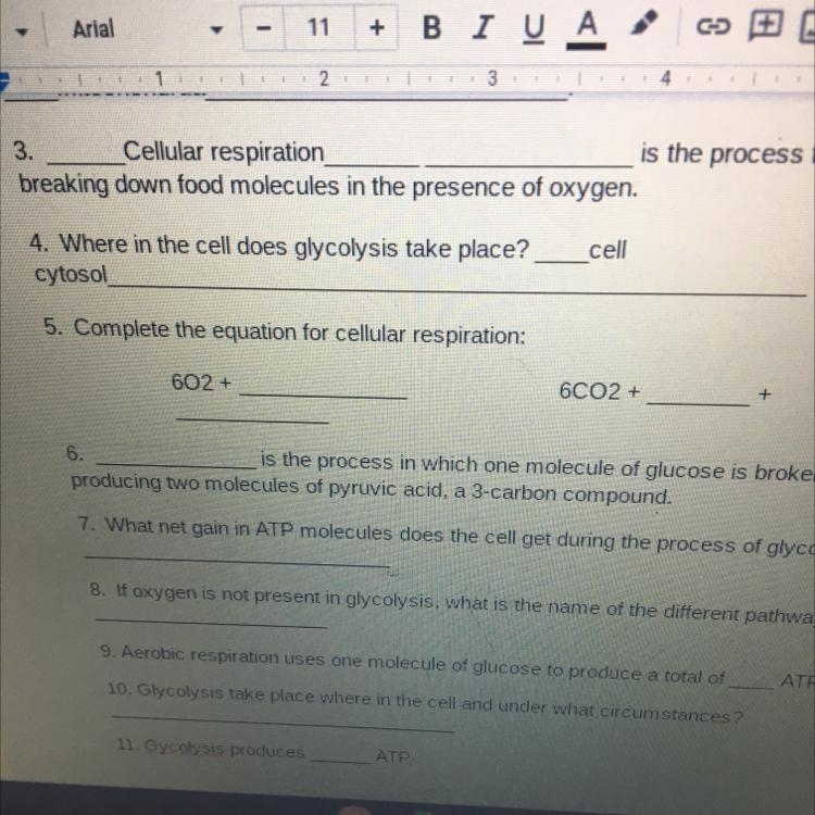 5. Complete the equation for cellular respiration: 602 + 6CO2 +-example-1