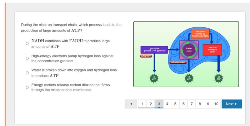 Can you plzzz help me?!! and hurry plz? it's biology thank you!!!-example-1