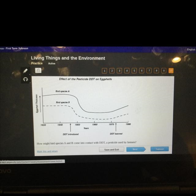 How might bird species A and B come into contact with DDT, a pesticide used by farmers-example-1