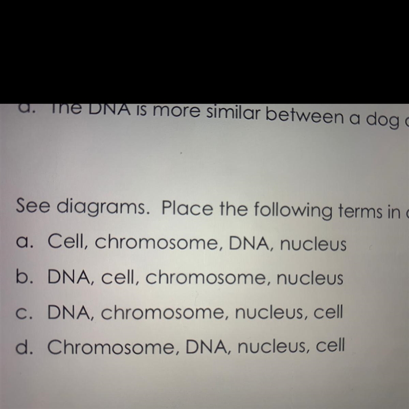 Place the following terms in order from smallest to largest. Which one is the correct-example-1