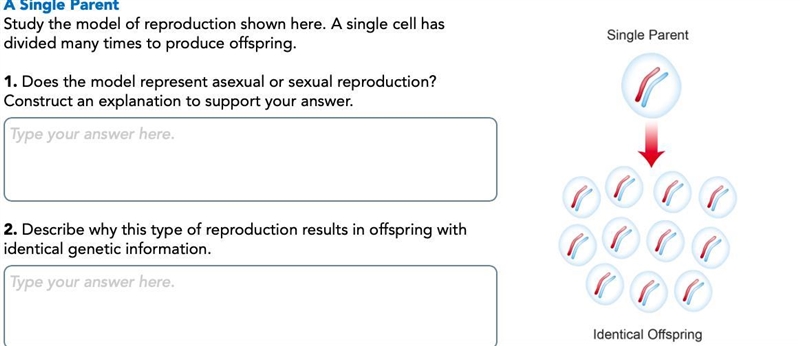 Im having trouble on Pearson interactivity: Offspring Season. Here are screen shots-example-1