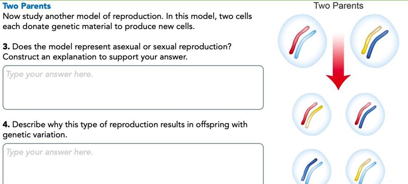 Im having trouble on Pearson interactivity: Offspring Season. Here are screen shots-example-2