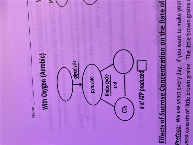 What are the blank answers ? confused-example-1