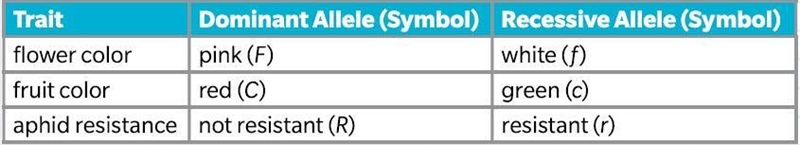 PLEASE HELP FOR LOTS OF POINTS!!!! Select all possible phenotypes that could result-example-1