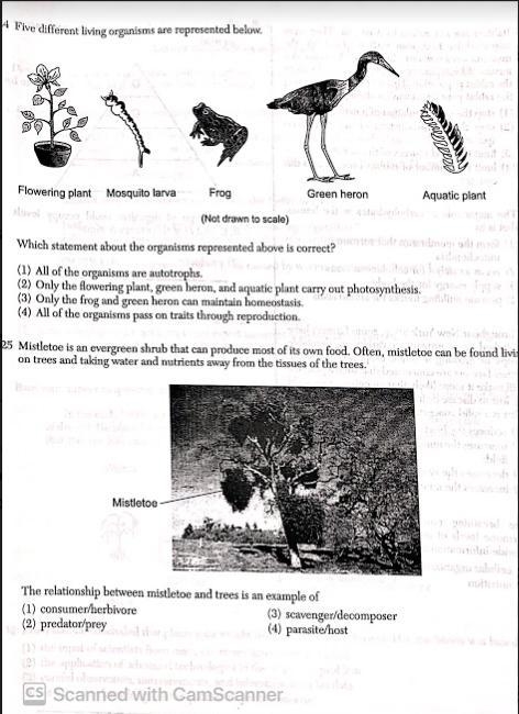 Help me with this pleaseeeeee-example-1