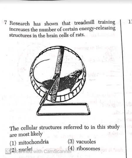 Help me with this pleaseeeeee-example-2