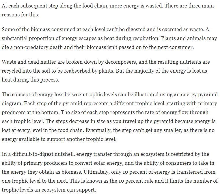 Summarize the three main reasons why energy is wasted at each trophic level. (use-example-1