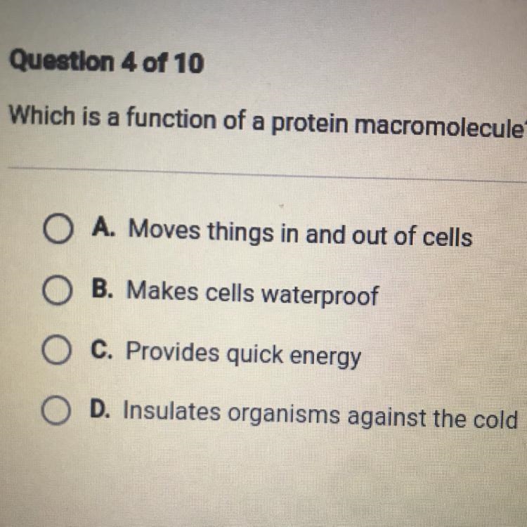 Which is a function of a protein macromolecule?-example-1