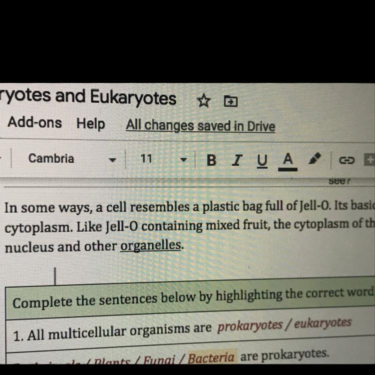 Are all multicellular organisms prokaryotes or eukaryotes-example-1