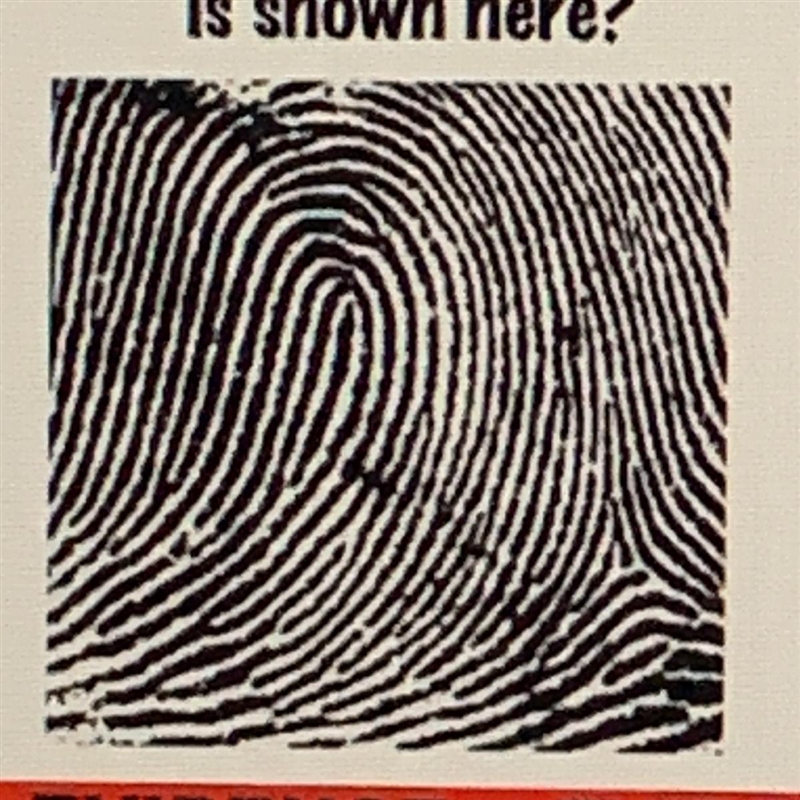 What type of fingerprint pattern is this? -plain whorl -central whorl -double whorl-example-1