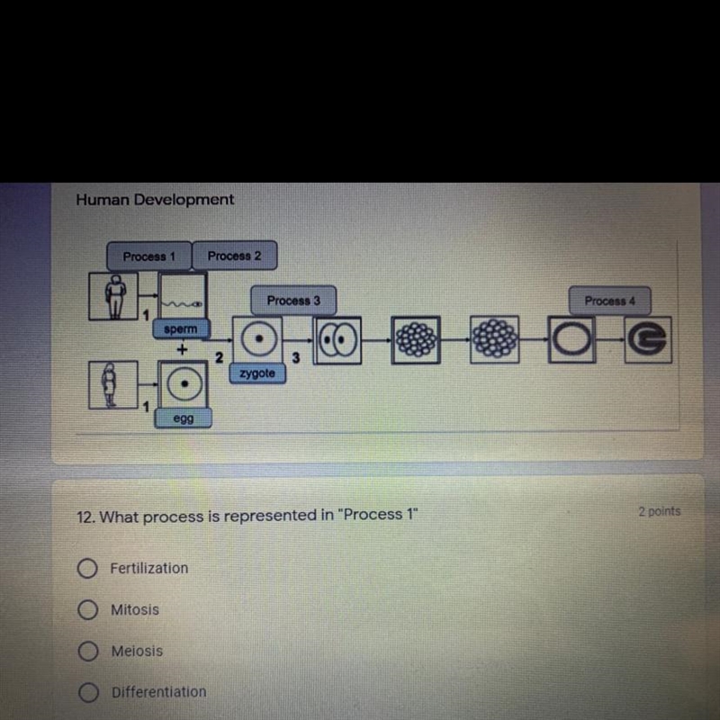 What is the answer to this question-example-1