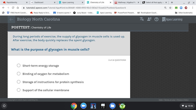 During long periods of exercise the supply of glycogen in muscle cells is used up-example-1