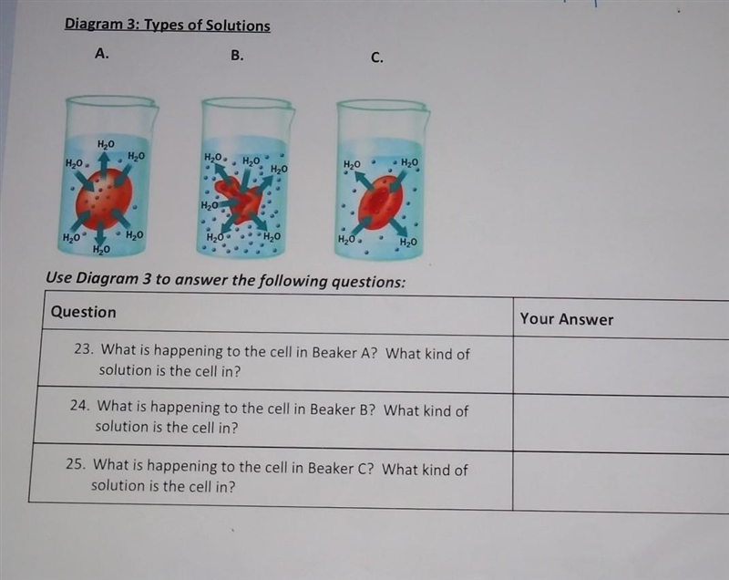 TYPES OF SOLUTIONS ( BIOLOGY ) HELP!​-example-1