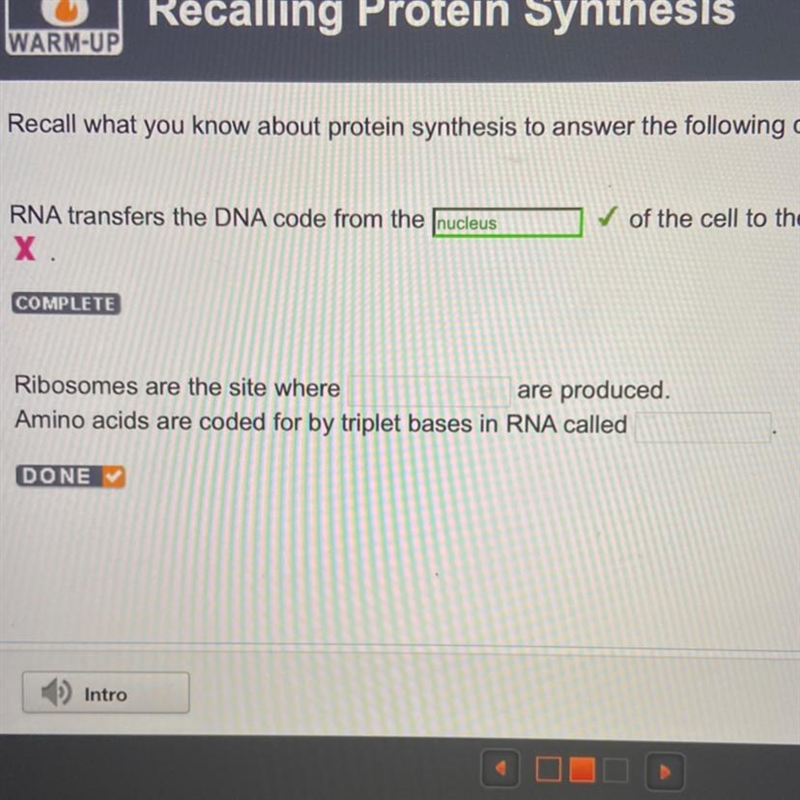 Ribosomes are the site where are produced. Amino acids are coded for by triplet bases-example-1