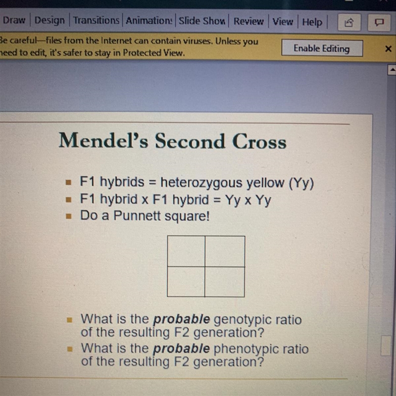 Can someone help me do a Punnett square and answered the questions below-example-1