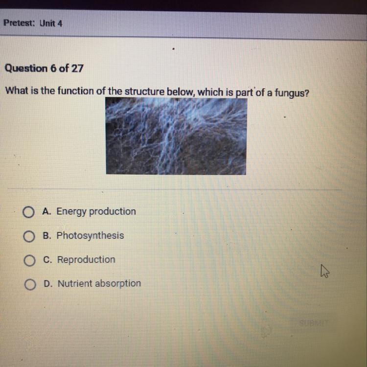 What is the function of the structure below, which is part of a fungus? A. Energy-example-1