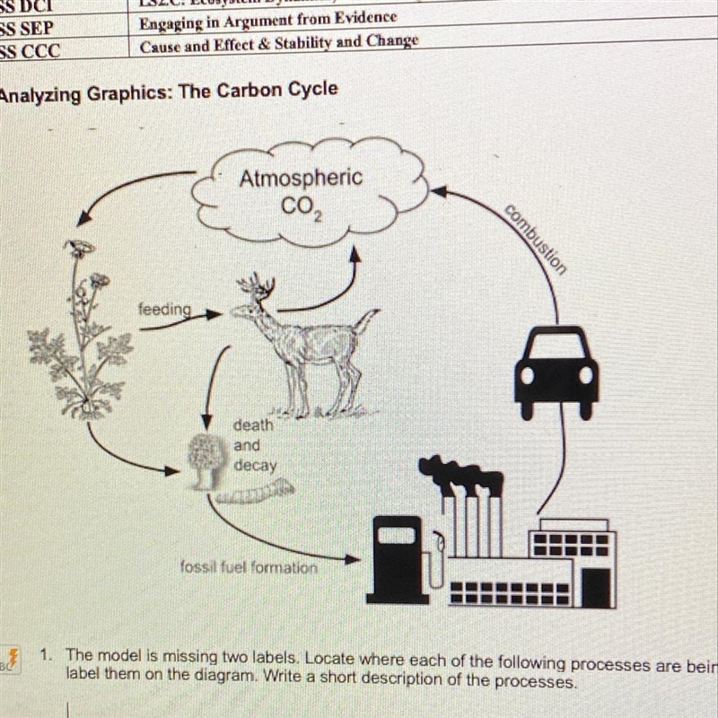 ABC 1. The model is missing two labels. Locate where each of the following processes-example-1