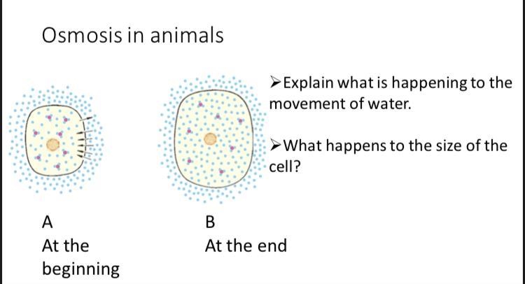 1.Explain what is happening to the movent of water? 2.what happens to the size of-example-1