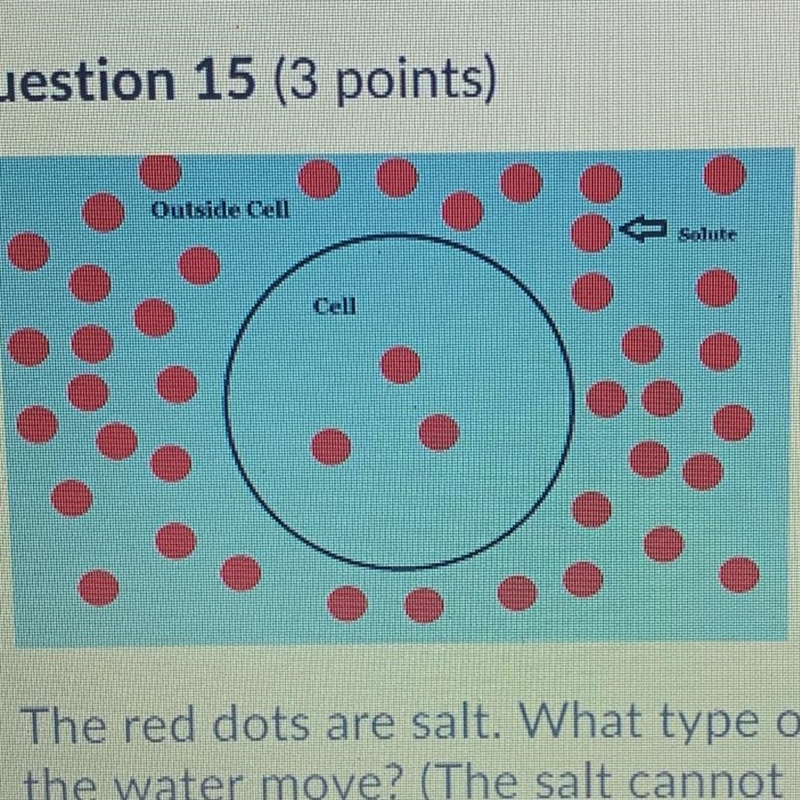 The red dots are salt. What type of solution is this cell in, and in which direction-example-1