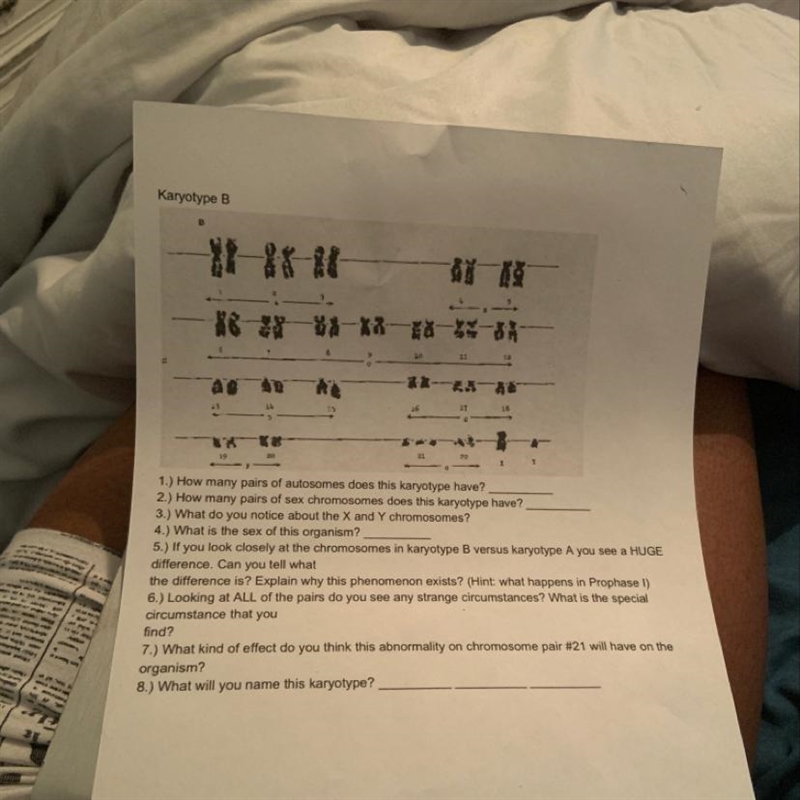 How do you do this biology work-example-1