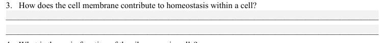 How does the cell membrane contribute to homeostasis within a cell?-example-1