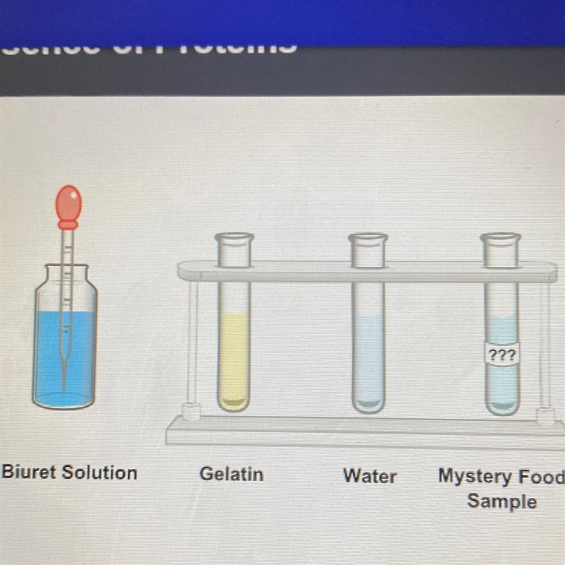 Click each test tube to test for the presence of proteins. Record all color changes-example-1