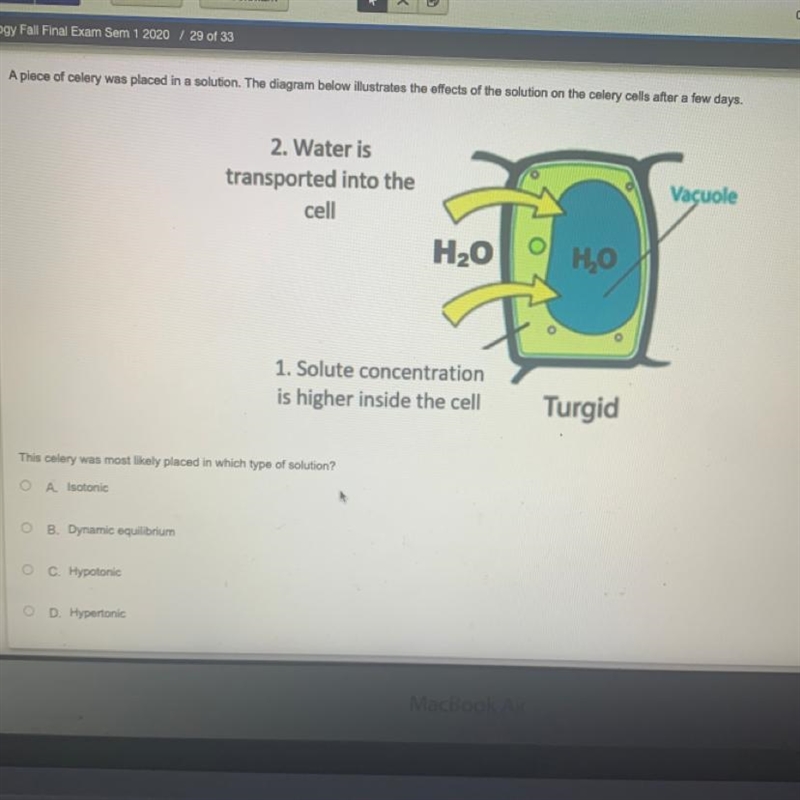 This celery was most likely placed in which type of solution?-example-1