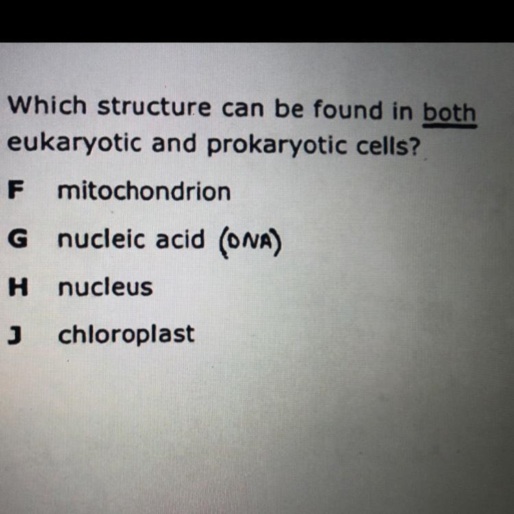 4 Which structure can be found in both eukaryotic and prokaryotic cells? F mitochondrion-example-1