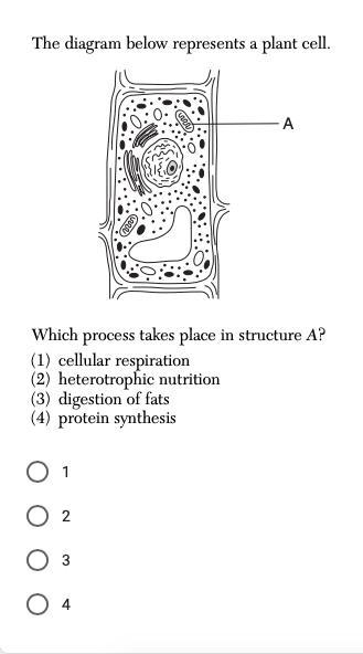 Whats the answer O_O-example-1